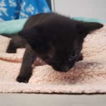 Thumbnail photo of Melanie #2