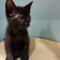 Thumbnail photo of Liam #4