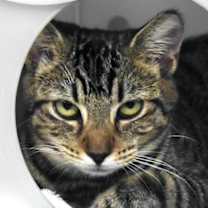 Thumbnail photo of Cady #2