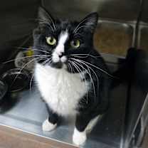 Thumbnail photo of Pink #2