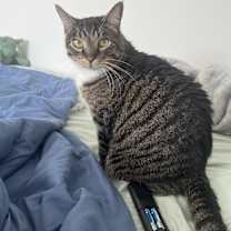 Thumbnail photo of Ren & Charcoal #1