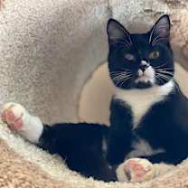 Thumbnail photo of Madison #2