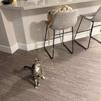 Thumbnail photo of Mike Wazowski #2