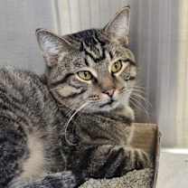 Thumbnail photo of Trip #2