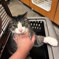 Thumbnail photo of Bella #3