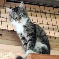 Thumbnail photo of Jackson Jr #2