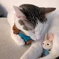 Thumbnail photo of Maybe #1