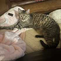 Thumbnail photo of Nora #1