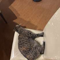 Thumbnail photo of Nora #2