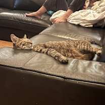 Thumbnail photo of Nora #3