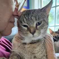 Thumbnail photo of Wyndham #4