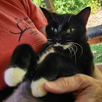 Thumbnail photo of Zoey #4