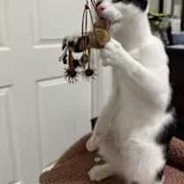 Thumbnail photo of Everett #4