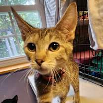 Thumbnail photo of Spunky #4