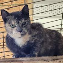 Thumbnail photo of Miracle #3