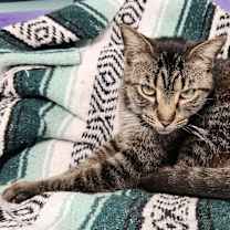 Thumbnail photo of Sammy #2