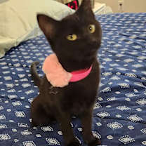 Thumbnail photo of Meredith #1