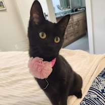 Thumbnail photo of Meredith #2