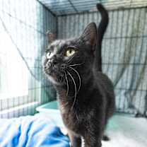 Thumbnail photo of Hot Cocoa #3