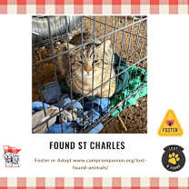 Thumbnail photo of FOUND St. Charles #1