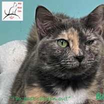 Thumbnail photo of Bobbie Sue #1