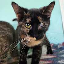 Thumbnail photo of Babs #1