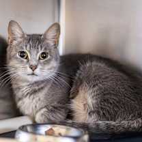 Thumbnail photo of Latka #2