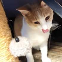 Thumbnail photo of Denver #1