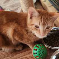 Thumbnail photo of Doc Holliday #3