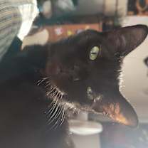 Thumbnail photo of Mud #1