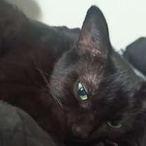 Thumbnail photo of Mud #2