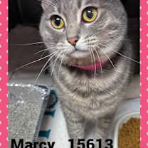 Thumbnail photo of MARCY #2
