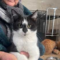 Thumbnail photo of Pousa #4