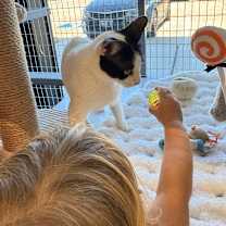 Thumbnail photo of Sparkle #3