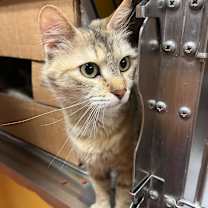 Thumbnail photo of Nina  #3