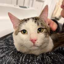 Thumbnail photo of Grug  #1