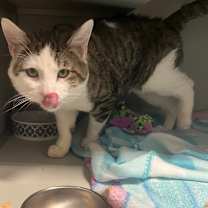 Thumbnail photo of Grug  #2