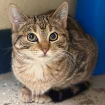 Thumbnail photo of Swirl #1