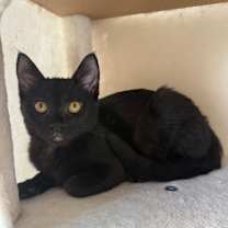 Thumbnail photo of Lucy #1