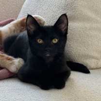 Thumbnail photo of Lucy #2