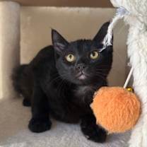 Thumbnail photo of Lucy #3