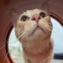 Thumbnail photo of Oliver #3