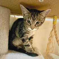 Thumbnail photo of Jon #2