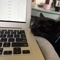 Thumbnail photo of Howl #3