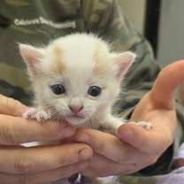 Thumbnail photo of Marvin #2