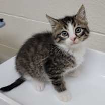 Thumbnail photo of Tucker #2