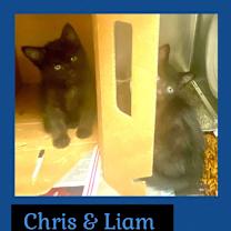 Thumbnail photo of Liam #2