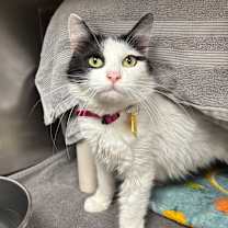 Thumbnail photo of Julia #1