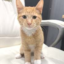 Thumbnail photo of Woody #1