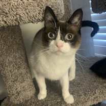 Thumbnail photo of Pua #1